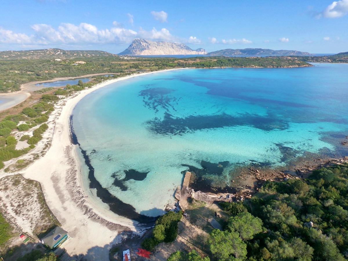 Iss Travel, La Ginestra - 2-Bedroom Apartment With Terrace And View Over Tavolara Island ซาน เตโอโดโร ภายนอก รูปภาพ